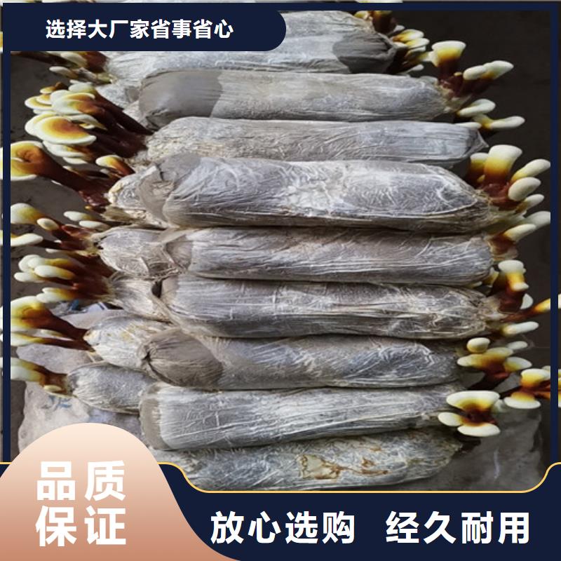 
灵芝超细粉用途分析做工精细