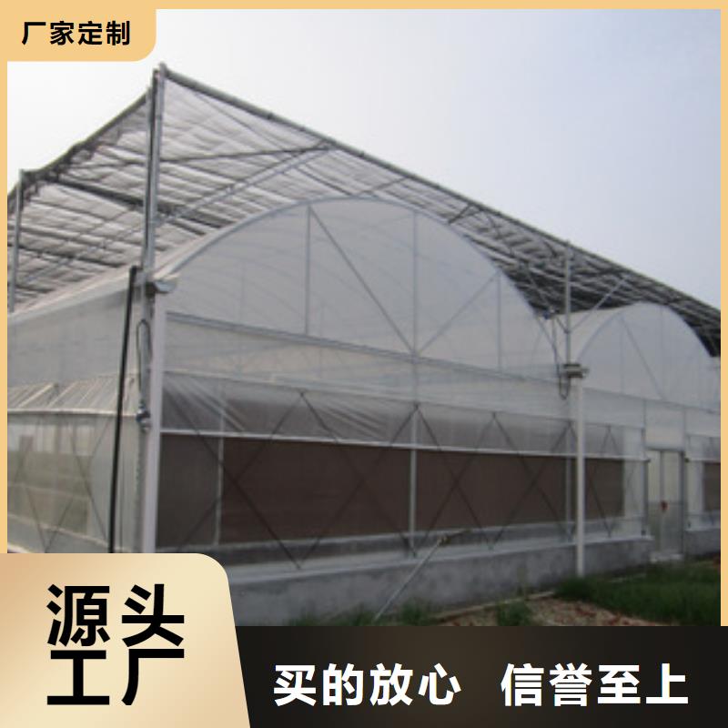 种植大棚0元寄样当地厂家