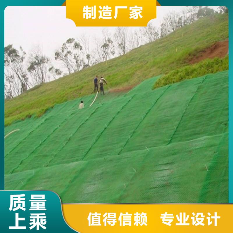 三维复合植被网生产基地哪里有？品质不将就
