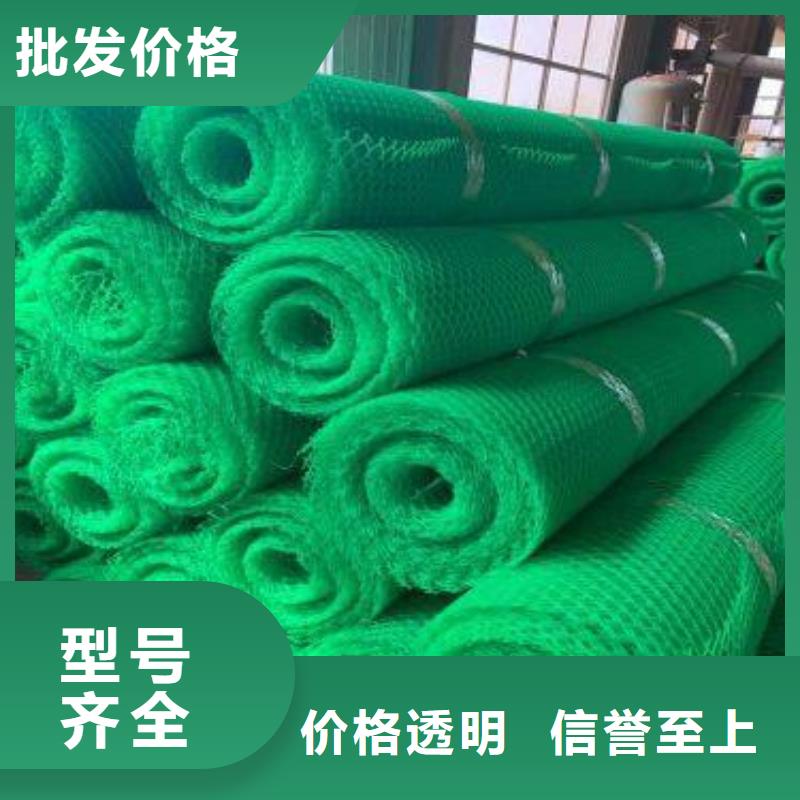 护坡固土植被网生产厂家哪家好诚信经营现货现发