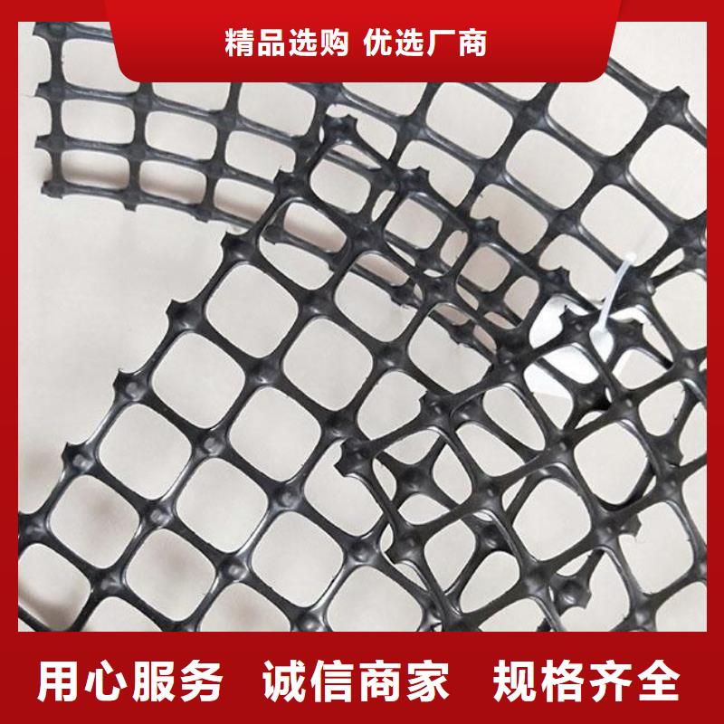 双向塑料格栅厂家、品牌、图片、热帖当地公司