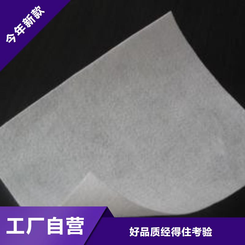 聚酯长丝布厂家现货发售多种优势放心选择