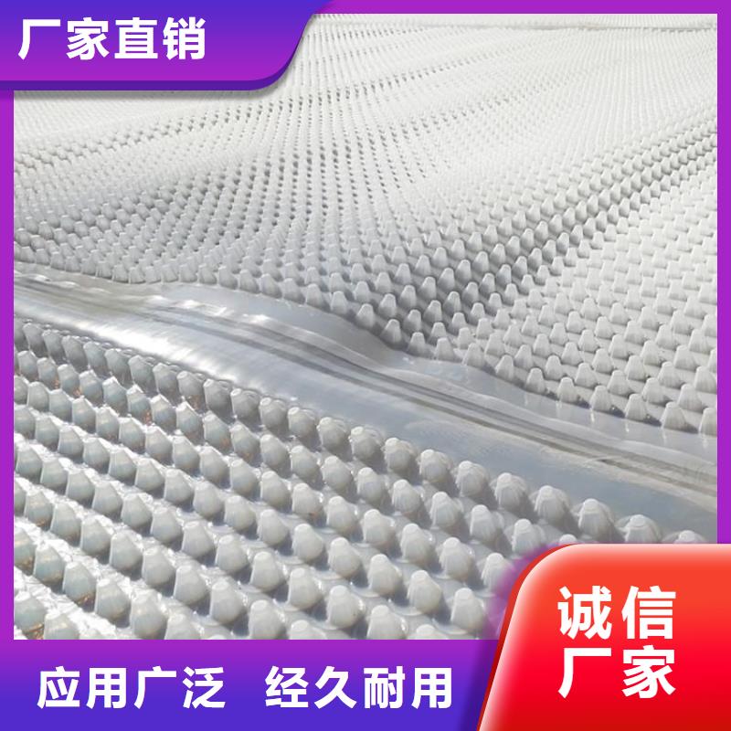 排水板价格厂家货源足质量好