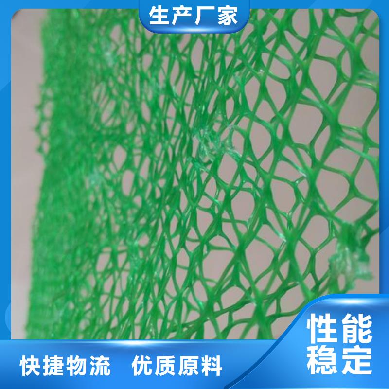 三维植被网厂家供应省心又省钱