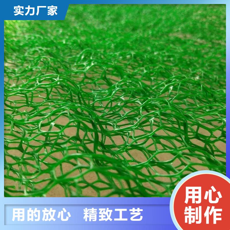 政工程边坡防护用三维植被网精心选材