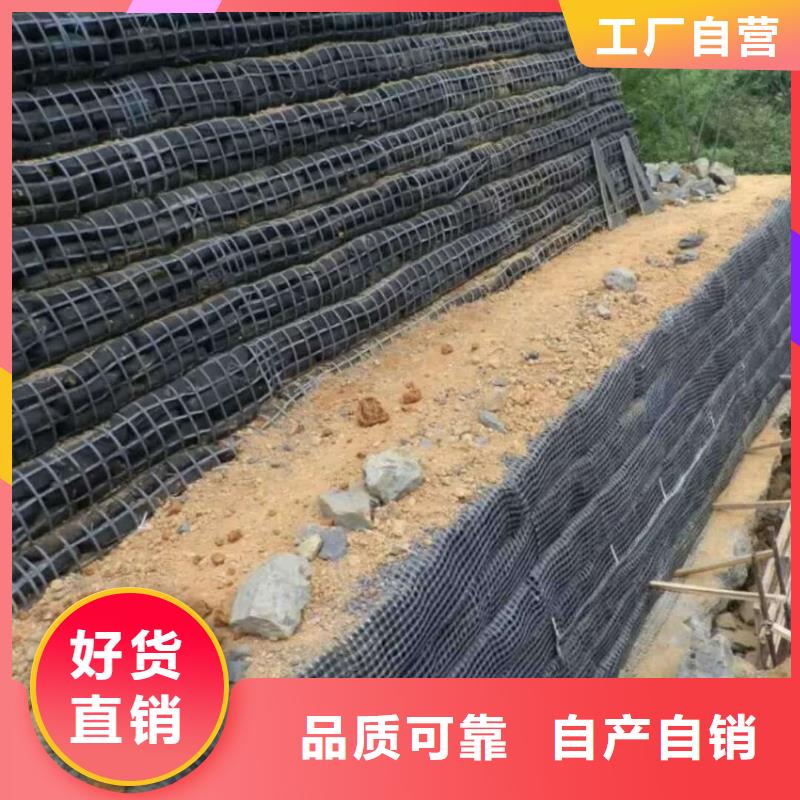 玻纤土工格栅_钢塑土工格栅_塑料土工格栅厂家直销当地生产厂家