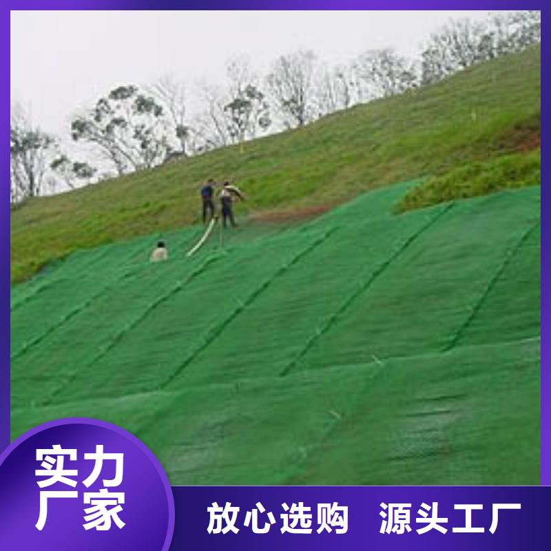 三维植被网|三维网垫植草护坡|三维土工网垫厂家哪家好？当地厂家