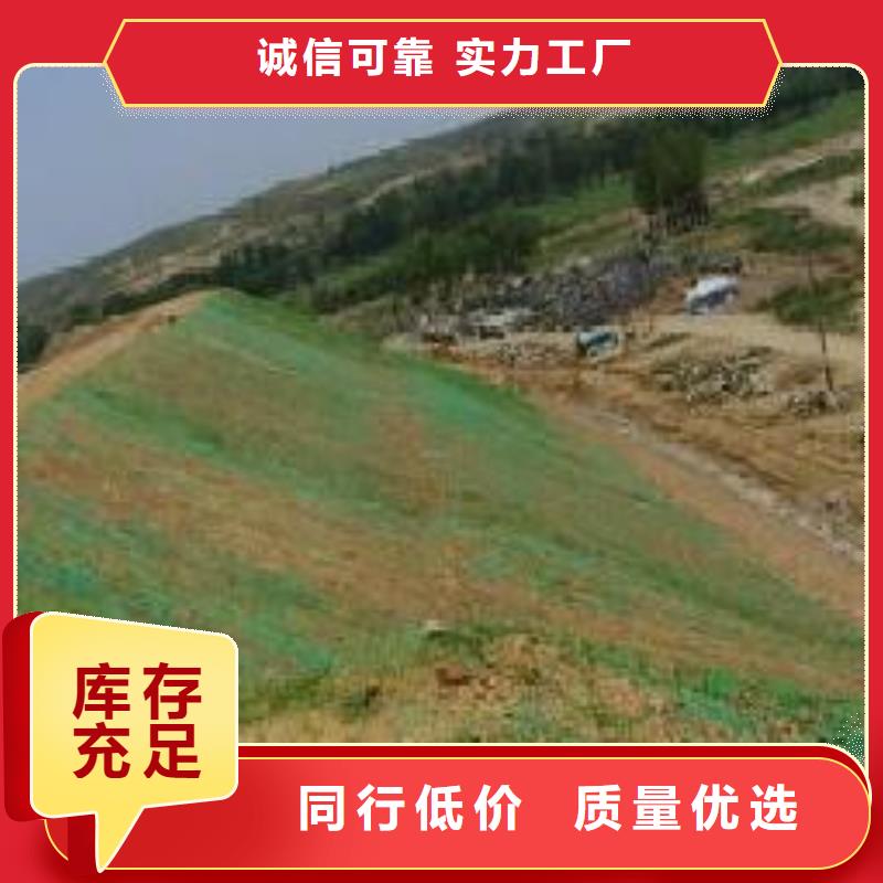 三维植被网规格型号_全国供应附近生产商