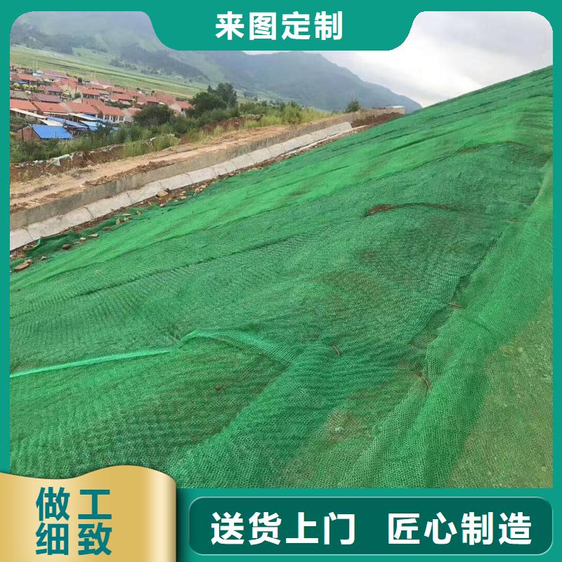 昌江县公路护坡三维植被网批发生产满足客户需求