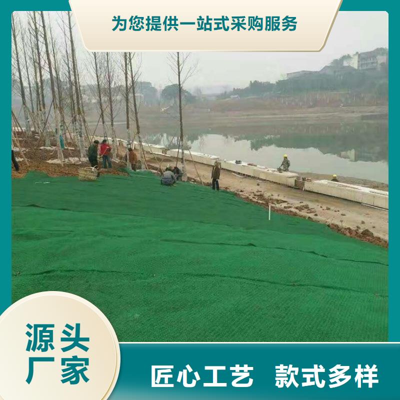 边坡防护三维植被网——集团公司-2024新行情同城制造商