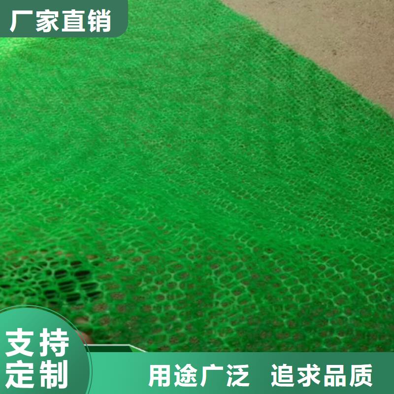 澄迈县公路护坡三维植被网批发生产物流配货上门