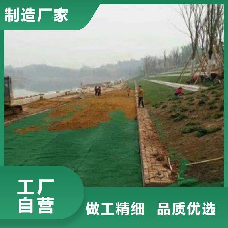 公路护坡三维植被网批发生产用好材做好产品