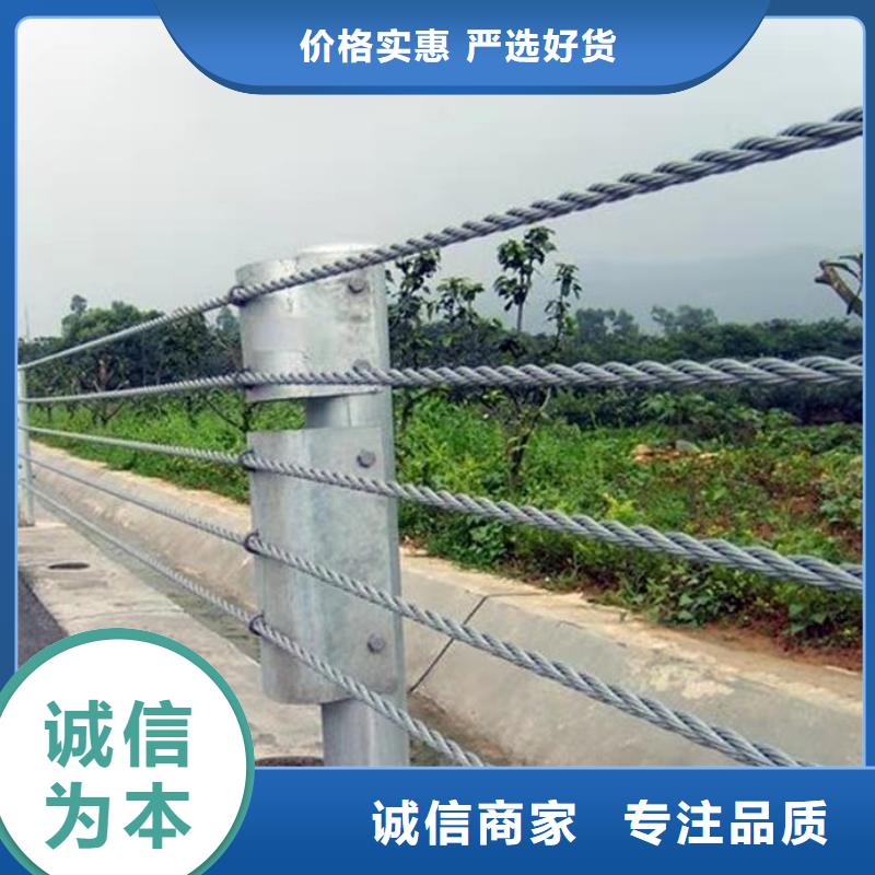 钢丝绳景观护栏加工制作安装有实力有经验