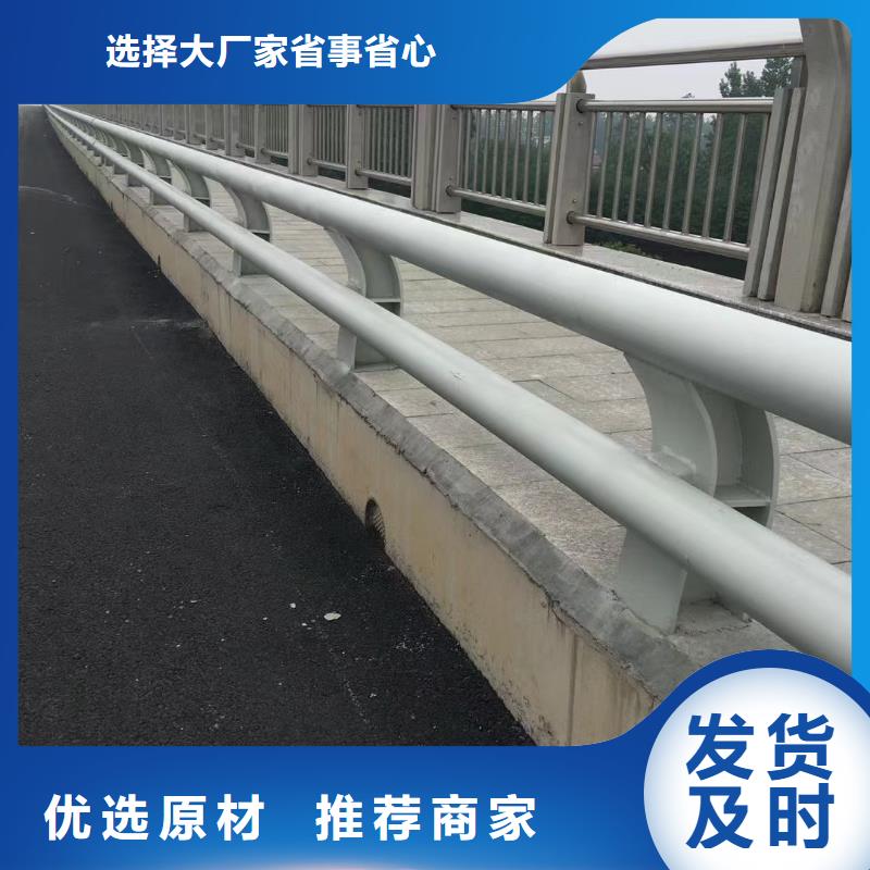 专业销售道路护栏-放心本地公司