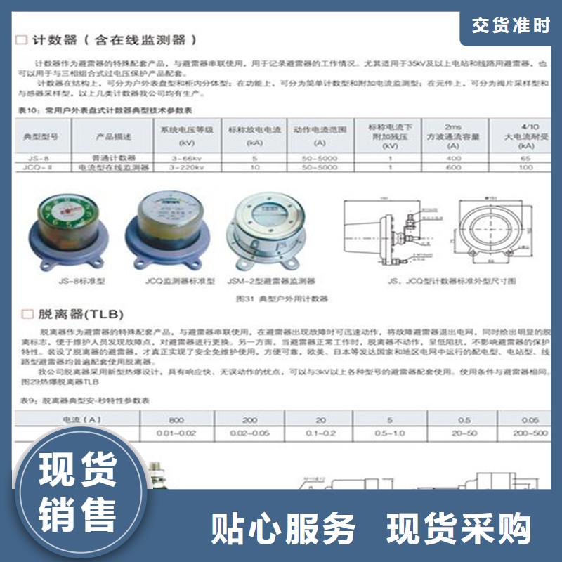 JSM-10/800避雷器计数器图片来电咨询