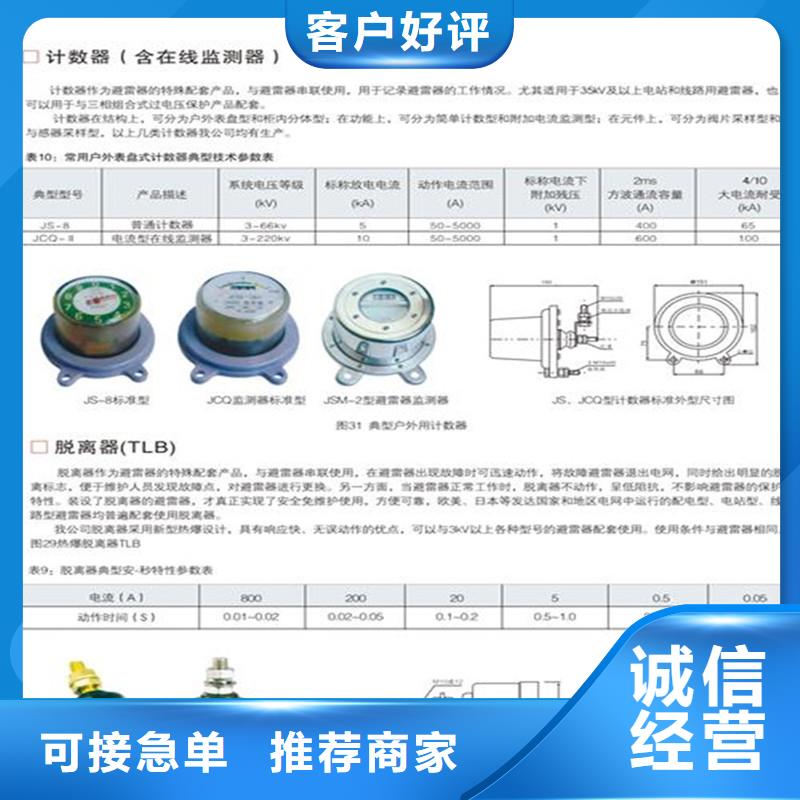 JSYL-5避雷器计数器品质信得过