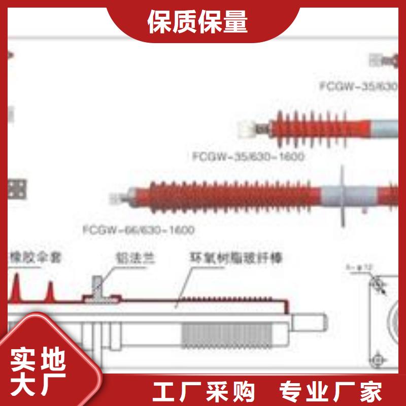 FCGW-10/400A硅胶套管现货