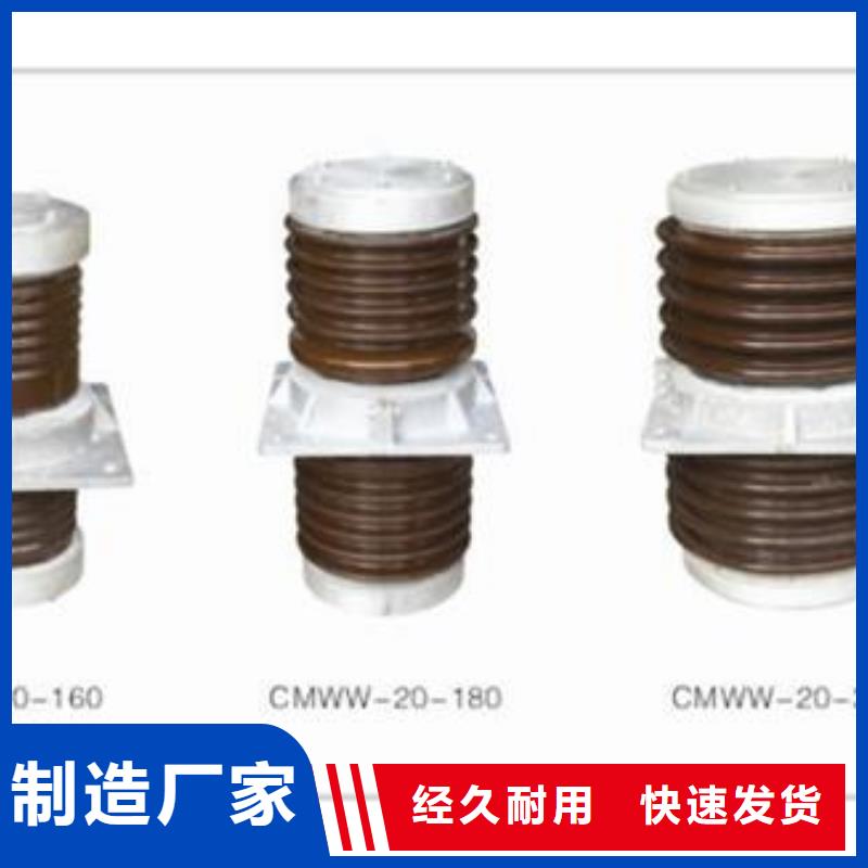 CWLB-40.5/630A陶瓷高压托管产品细节参数