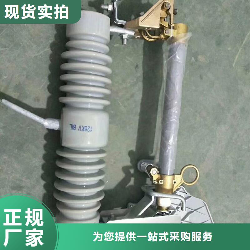 PD3-6KV/100A跌落保险樊高精工细致打造