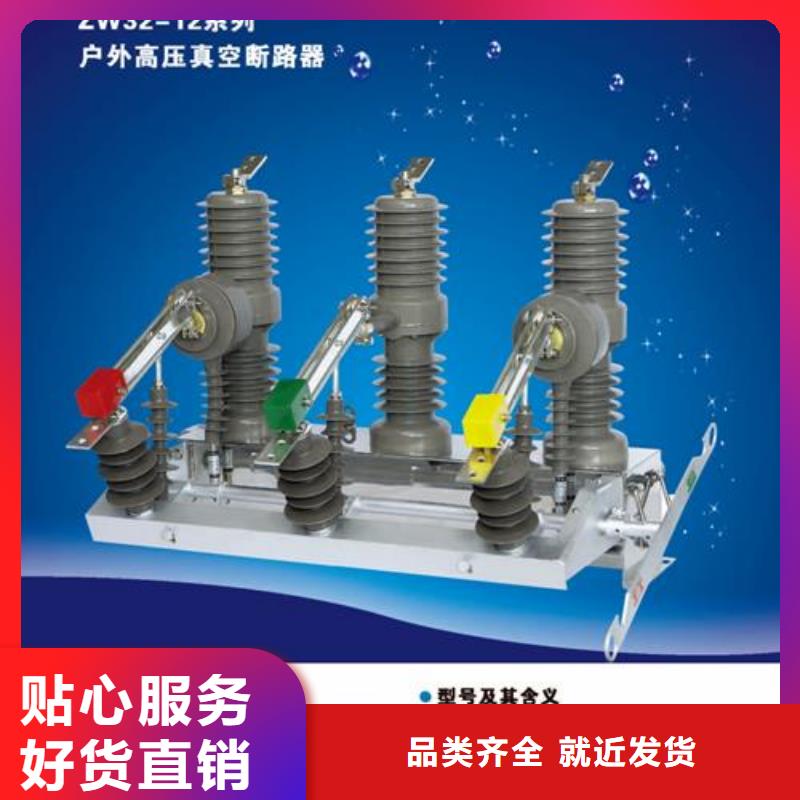 VS1-12/1000-25户内真空断路器手车式匠心制造