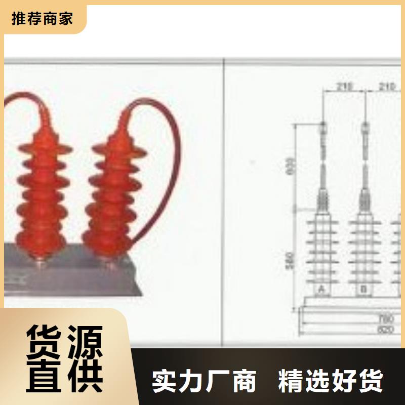 TBP-0-4.6F避雷器用保护器同城生产厂家