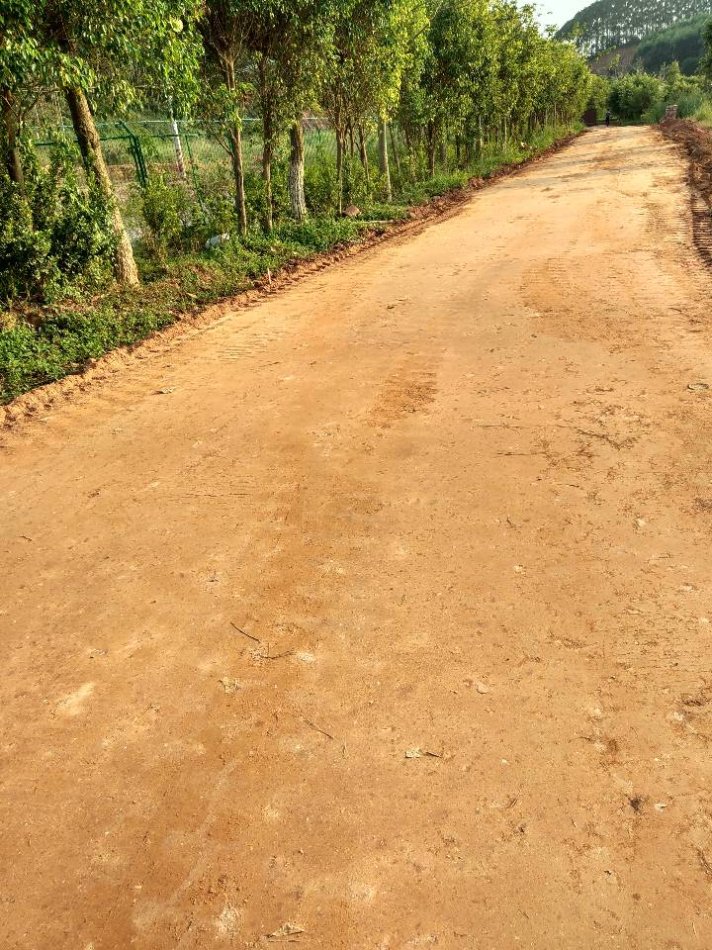 砂性土土壤固化剂停车场固化土必看客户好评