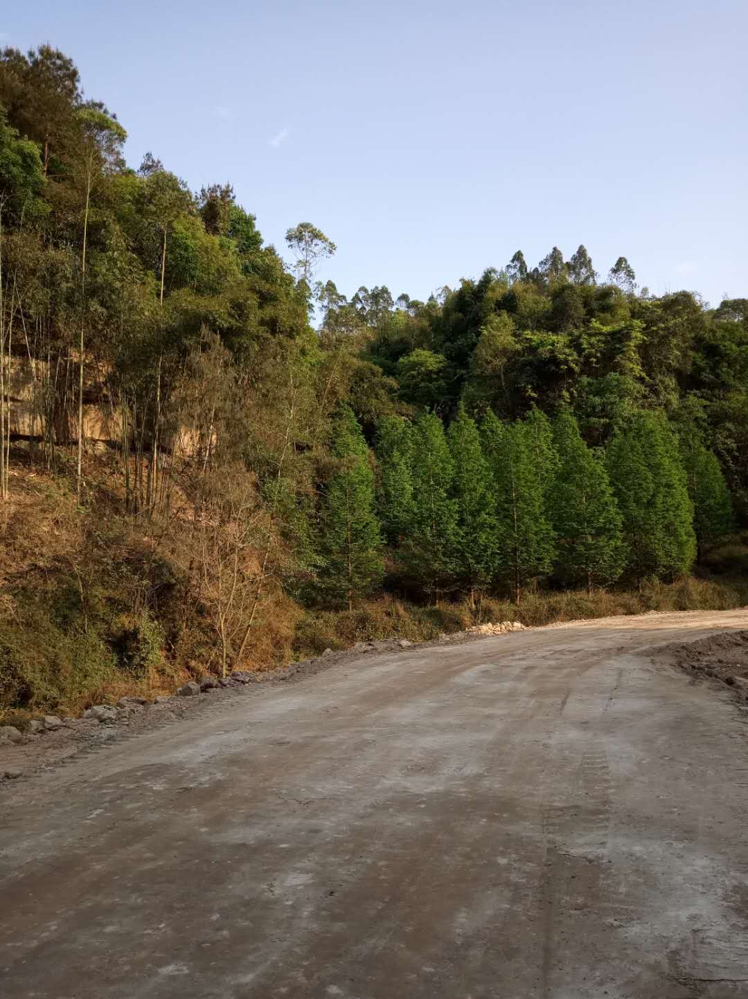 生态沙土抑尘剂软基处理固化土精心选材