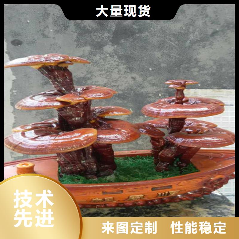 灵芝超微粉
报价-厂家实力优品