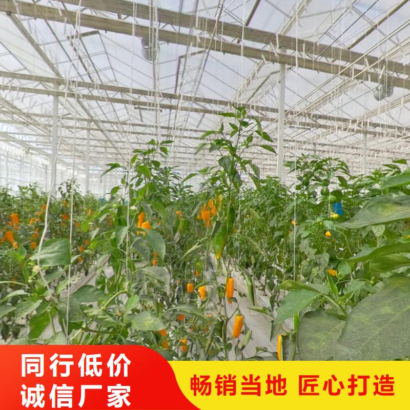 蔬菜用大棚骨架品质保证本地公司