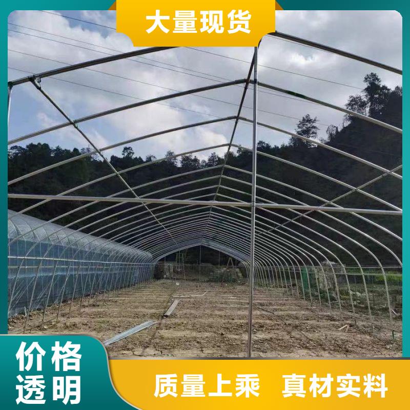 南庄镇暖棚种植基地按需定制真材实料