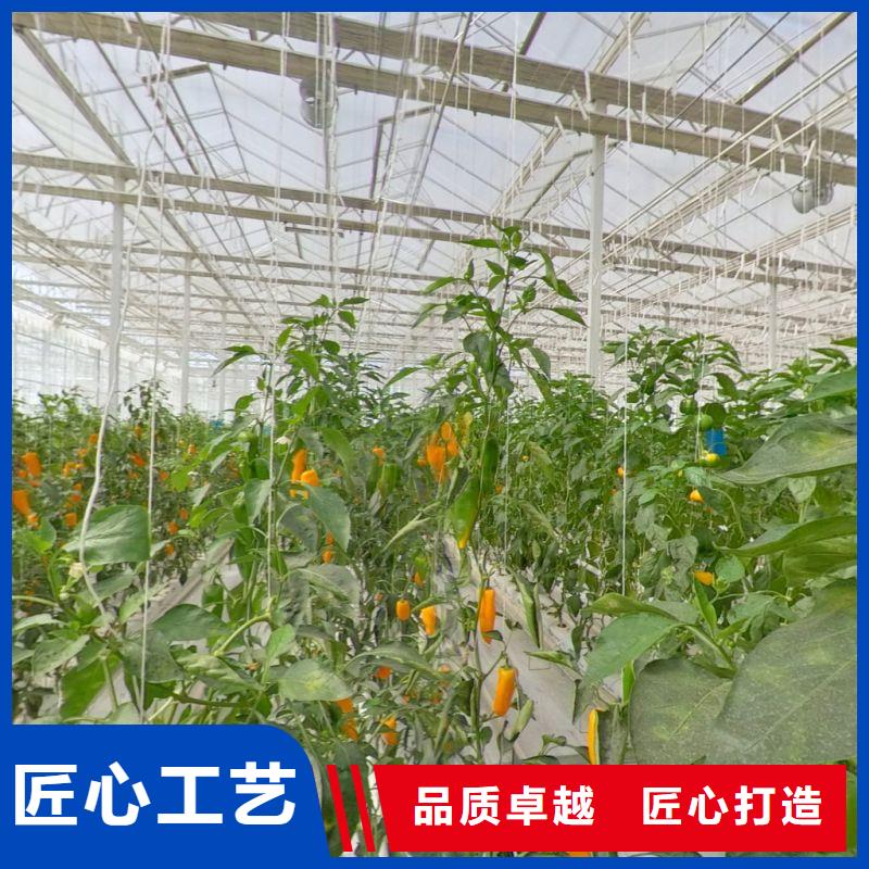 城阳种植大棚直供厂家质量牢靠