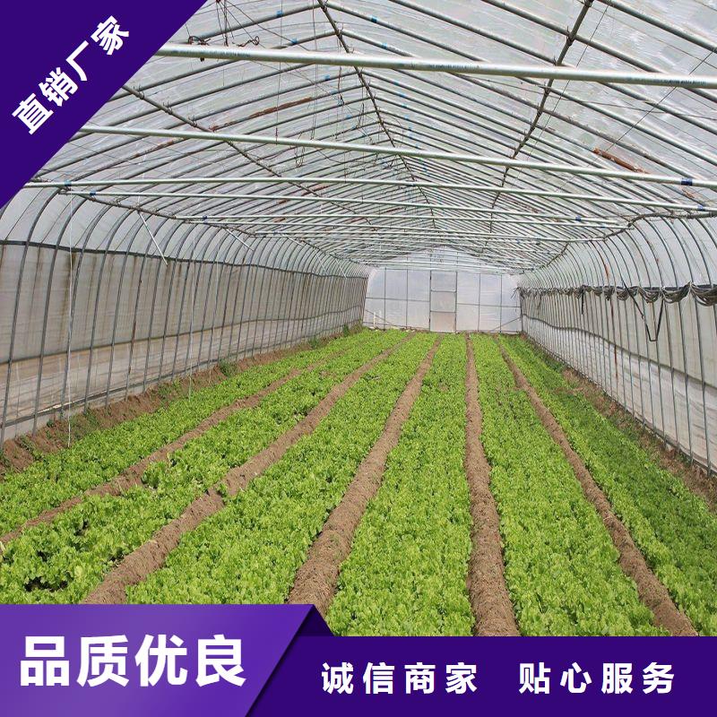 建邺塑料薄膜大棚品质放心24小时下单发货