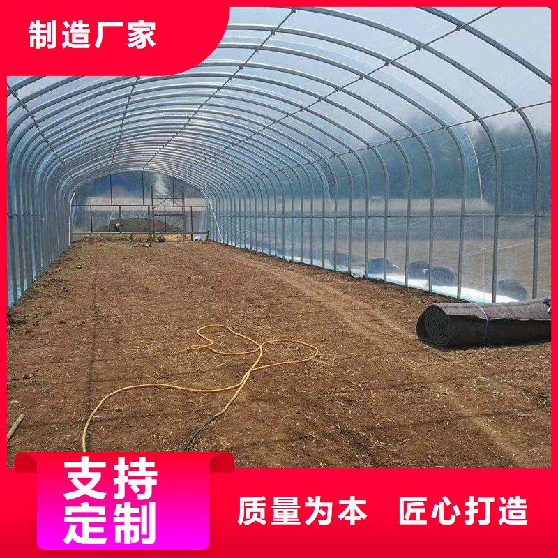 五莲种植棚厂家同城制造商