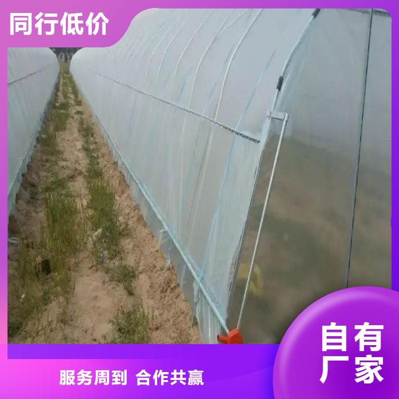 兰溪种植单体大棚优惠多物流配货上门