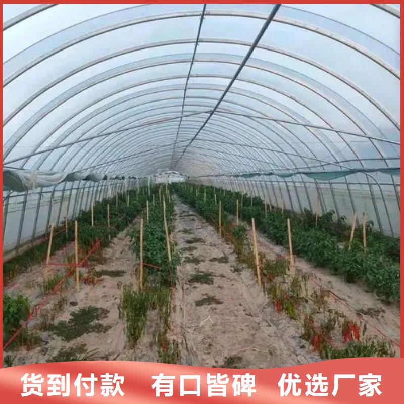 连栋大棚骨架价格行情品牌企业