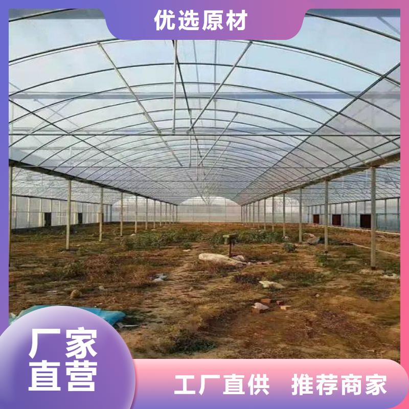 塑料薄膜温室联系电话海量现货直销