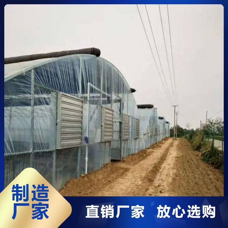 莲池区高端智能温室大棚合作本地制造商