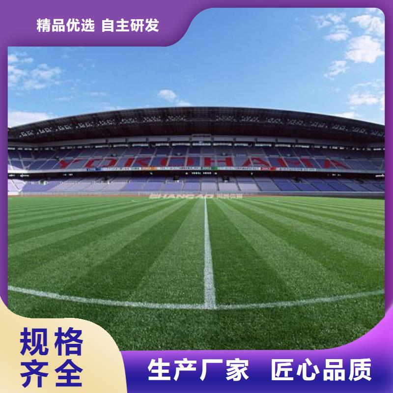 幼儿园塑胶跑道现货价格的图文介绍