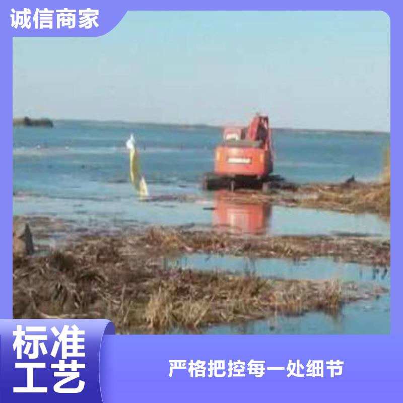 水陆挖掘机租赁大型厂家直销当地公司