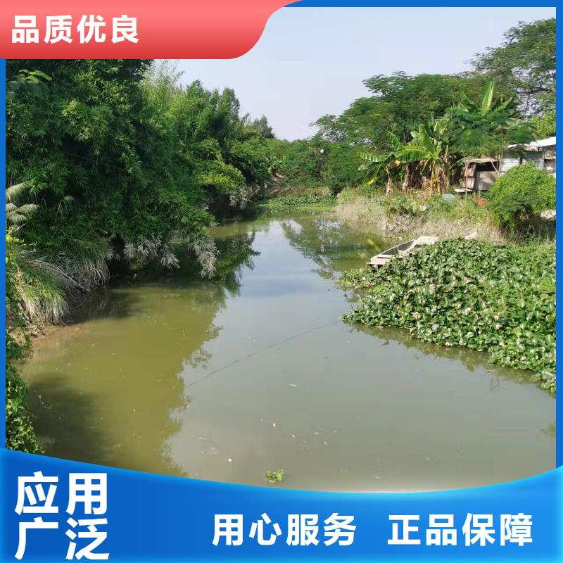 规格齐全的湿地挖掘机出租租赁厂家本地公司