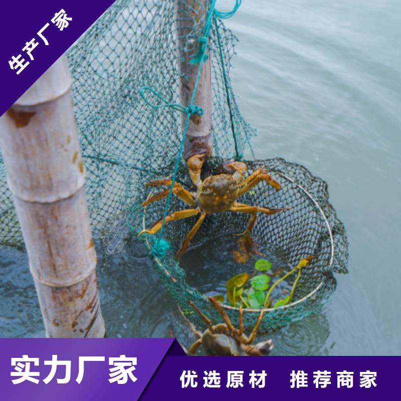 凤凰县阳澄湖大闸蟹价格本地供应商