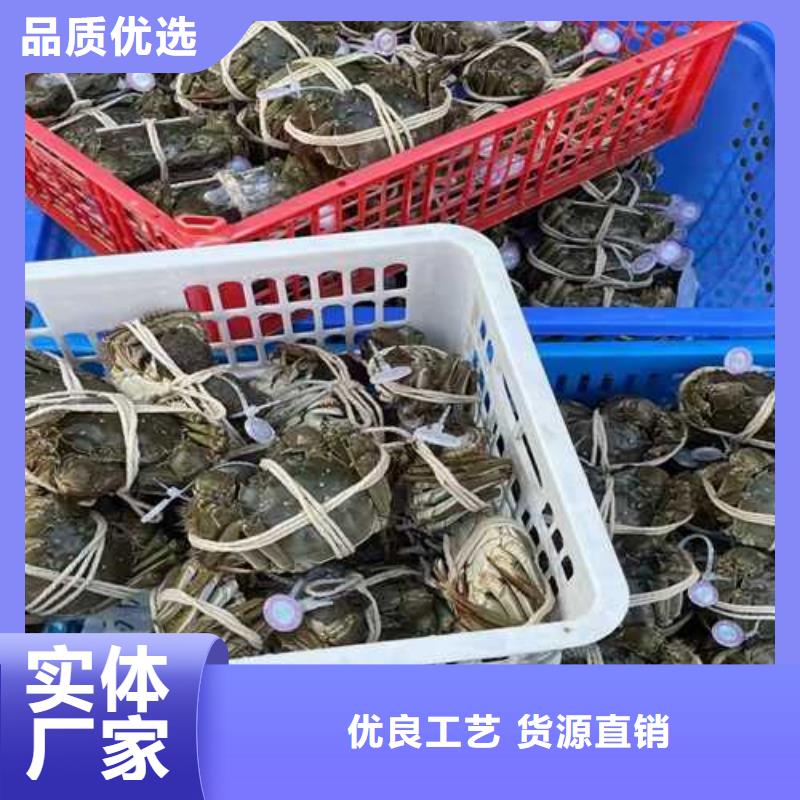 螃蟹现货直销全品类现货