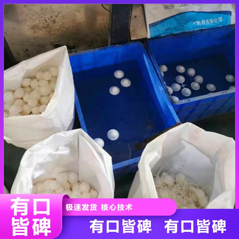 改性纤维球售后无忧货号2-101高品质现货销售