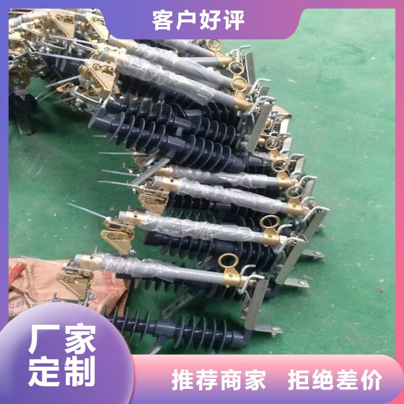 -跌落式熔断器熔丝10KV/10ARW12价格有优势