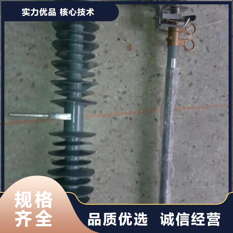 高压熔断器/RW4-12KV/100A用心服务