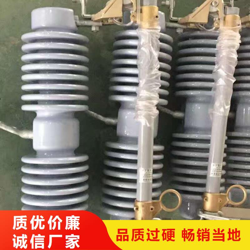 高压熔断器HRW12-15KV/100产地直销