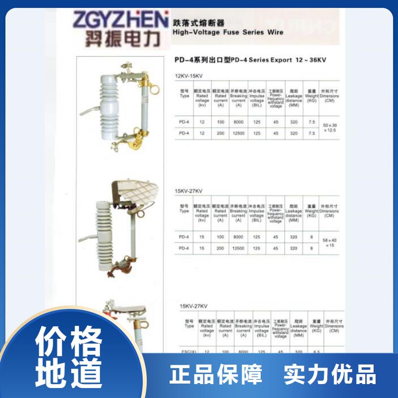 ​高压熔断器_RW12-15/200附近品牌