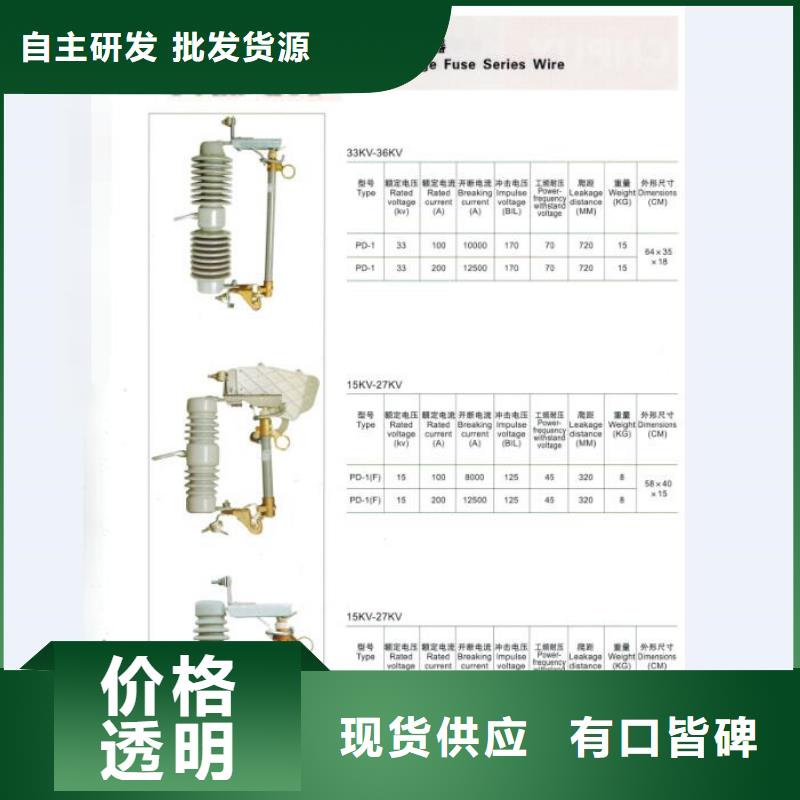 -户外高压交流跌落式熔断器RW12-12F/100A当地供应商