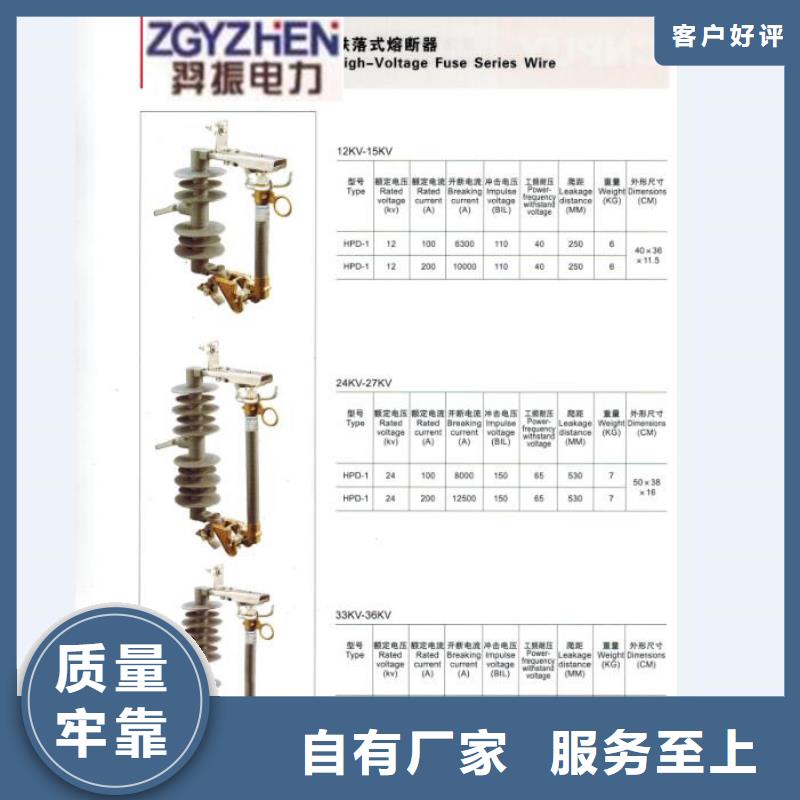 高压熔断器/RW4-12/100.HRW4-12/100【浙江羿振电气有限公司】原厂制造