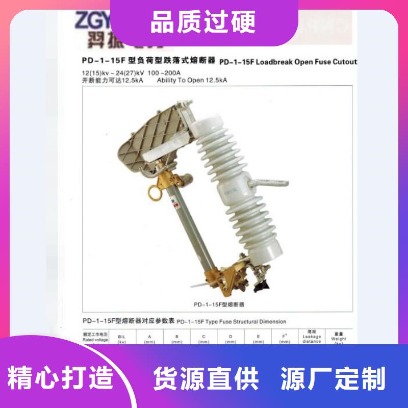 价格推荐：高压熔断器/FSC-15/200-12.5N年大品牌